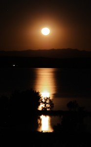 fitzgerald bay 3