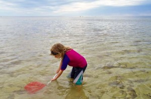 Crabbing at Parham