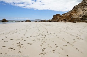 Footprints in the sand