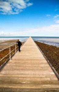 Jetty
