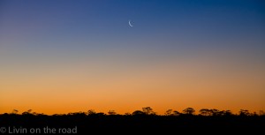 Nullarbor Plain